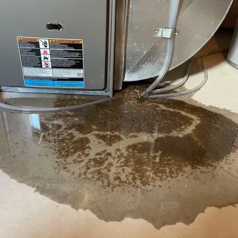 Appliance Leak Cleanup in Somerset County, NJ